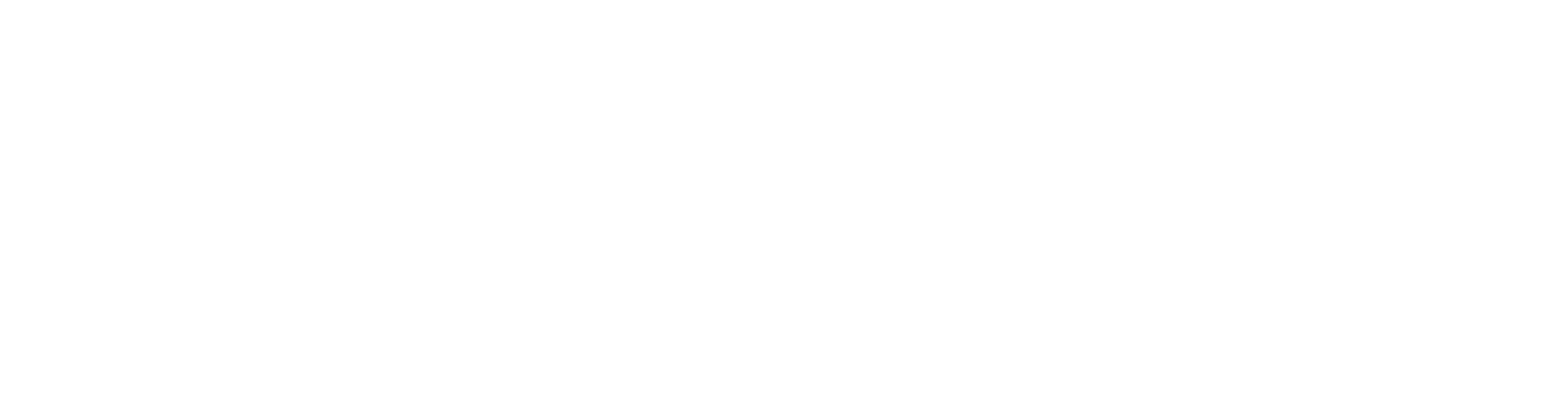 Viviid Logo